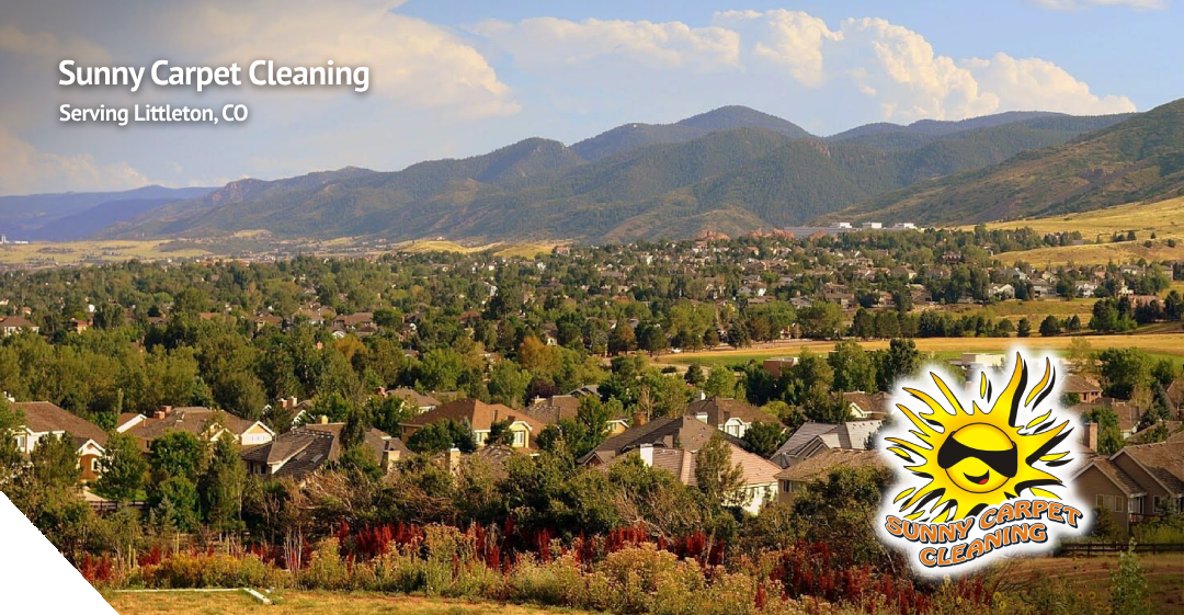 cleaning services in littleton