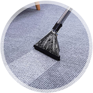 Carpet cleaning process with professional equipment, demonstrating effective dirt removal and maintenance for healthy carpets.