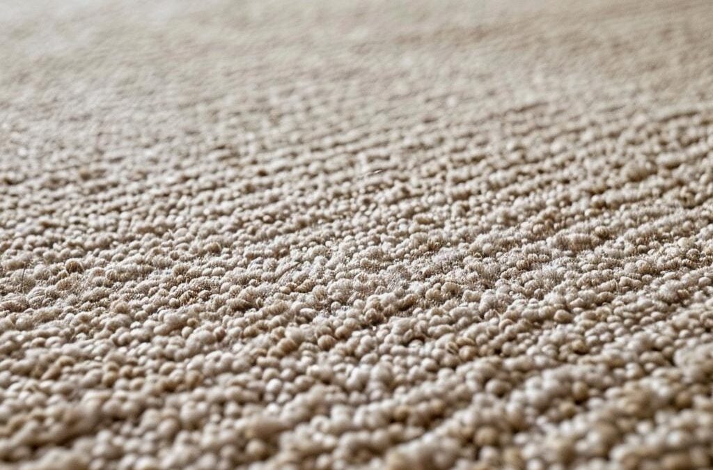 Eco-Friendly Carpet Cleaning in Littleton