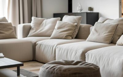 Top 5 Upholstery Issues in Littleton That Necessitate Professional Upholstery Cleaning Services