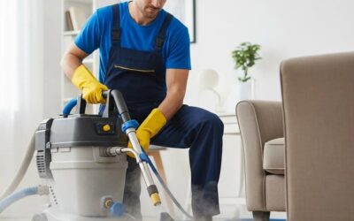 Your Clear Guide to Hot Water Extraction and Safe, Eco-Friendly Carpet Care in Littleton